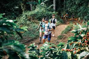 BIB: 
                            <button type="button" onclick="openModal(25852648)" class="btn btn-primary btn-sm float-right btn-popup" data-toggle="modal" data-target=".modal-high-quality">
                        <i class="fas fa-shopping-cart"></i> Add to Cart
                    </button>
                                            <button type="button" onclick="isThisMe(25852648, true)" class="btn btn-success btn-sm float-right btn-popup btn-isme hidden" data-toggle="tooltip" data-placement="bottom" title="นี่คือรูปของคุณใช่ไหม คลิกที่นี่เพื่อเอาเข้าอัลบั้ม">
                        <i class="fas fa-plus"></i> Add to album
                    </button>
                    <button type="button" onclick="isThisMe(25852648, false)" class="btn btn-warning btn-sm float-right btn-popup btn-isnotme hidden">
                        <i class="fas fa-ban"></i> Remove from album
                    </button>